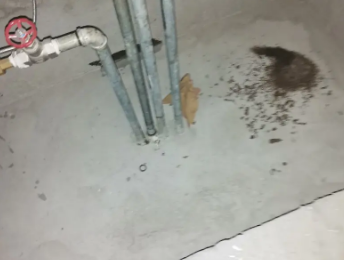 灵宝卫生间测漏水价格明细